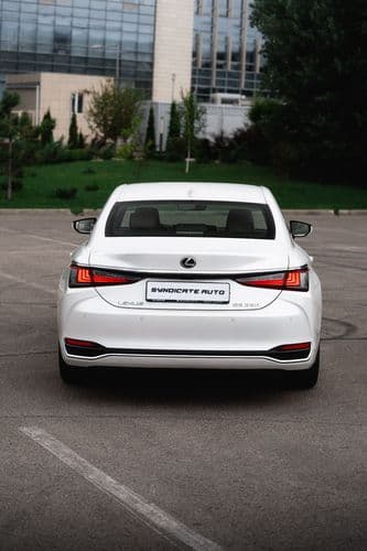 7M304867.jpg