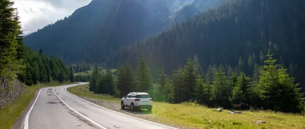 Аренда авто в Алматы без водителя — полная свобода маршрута с Syndicate Auto Аренда авто в Алматы без водителя — полная свобода маршрута с Syndicate Auto